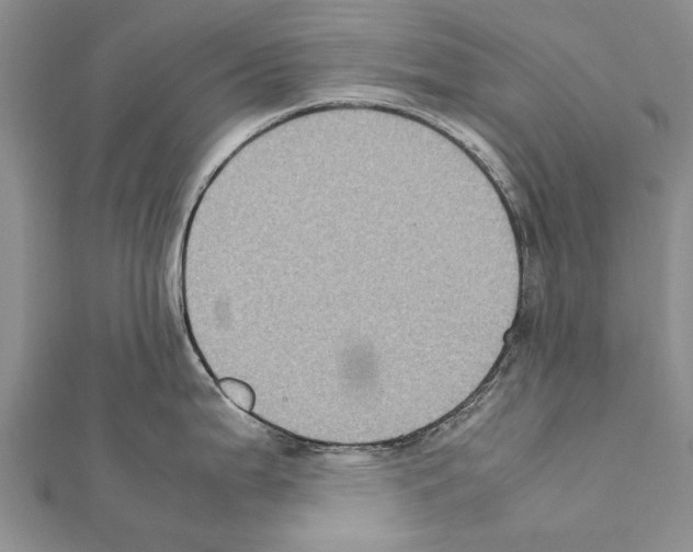 X0000111371199200908211311