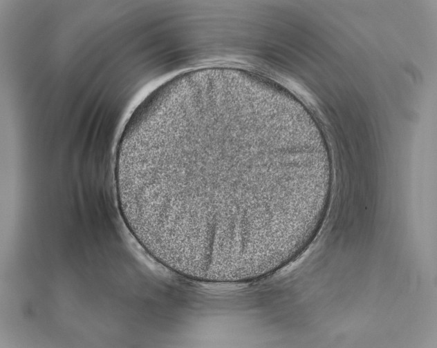 X0000111371200200908211311