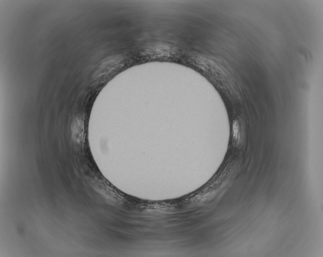 X0000111371203200908211311