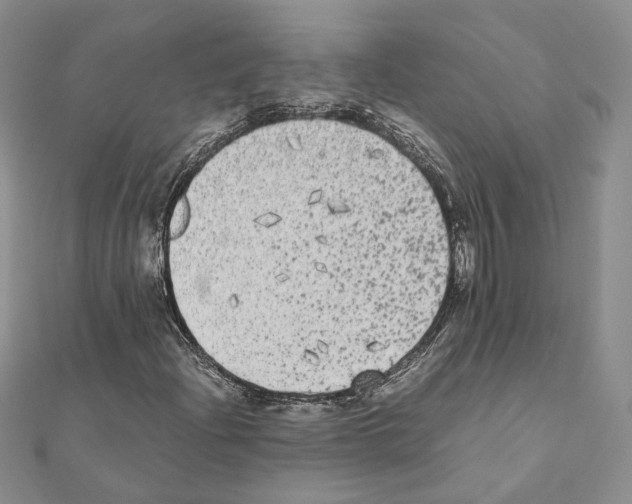 X0000111371204200908211311
