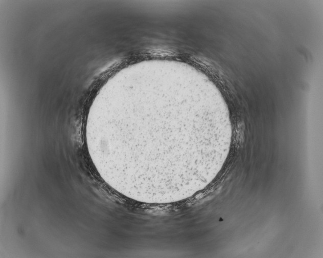 X0000111371205200908211311