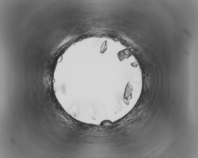 X0000111371206200908211311