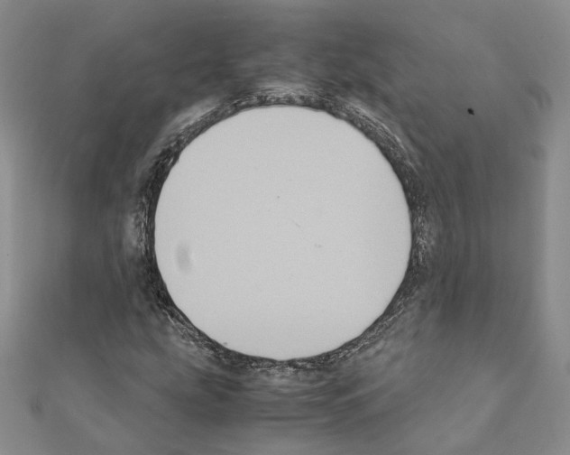 X0000111371207200908211311