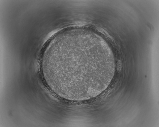 X0000111371208200908211311
