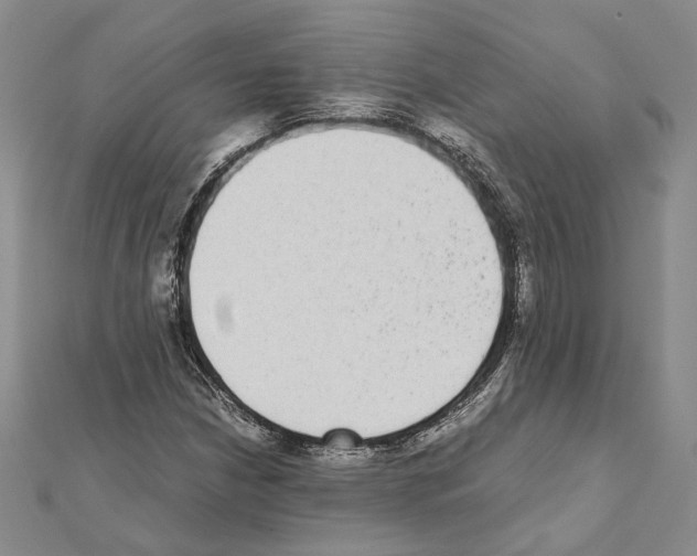 X0000111371210200908211311