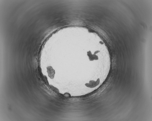X0000111371212200908211311