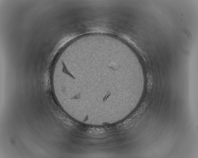 X0000111371215200908211311