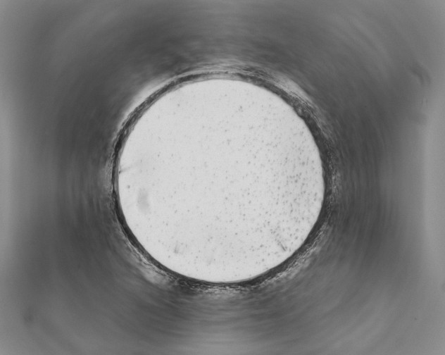X0000111371216200908211311