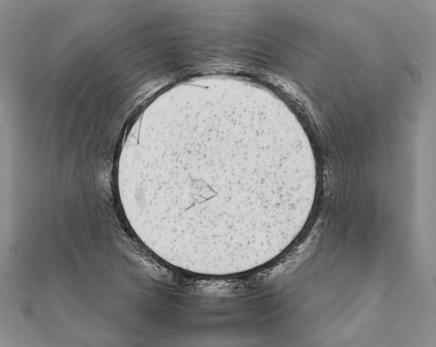 X0000111371217200908211311