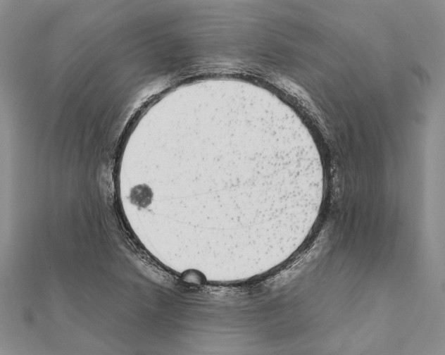 X0000111371218200908211311