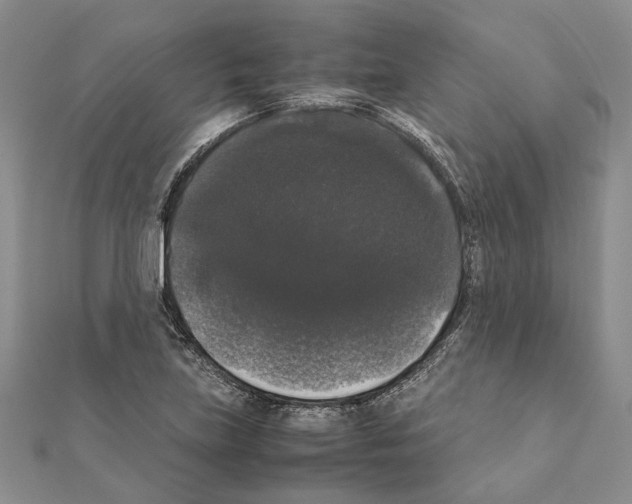 X0000111371219200908211311