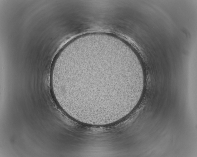 X0000111371220200908211311