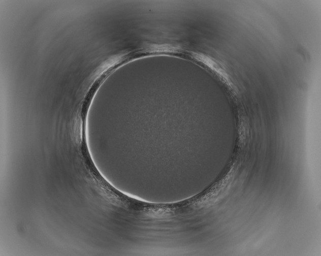 X0000111371221200908211311