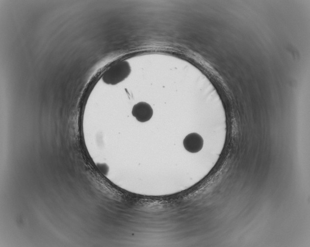 X0000111371222200908211311