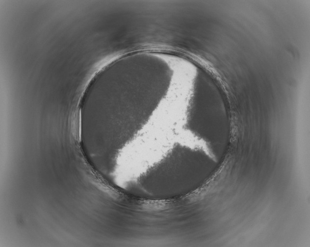 X0000111371223200908211311