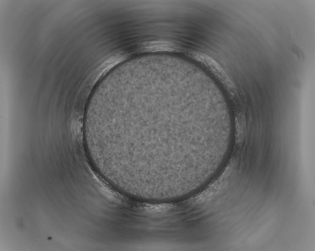 X0000111371225200908211311