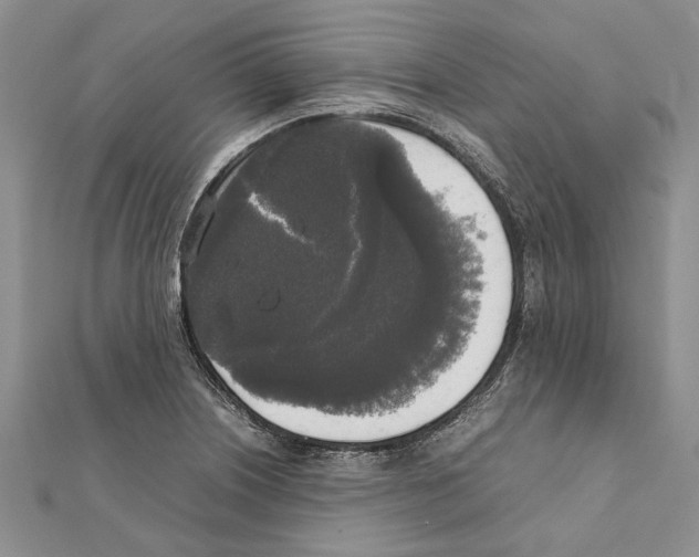 X0000111371226200908211311