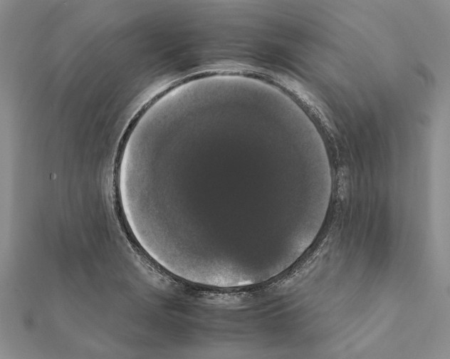 X0000111371229200908211311