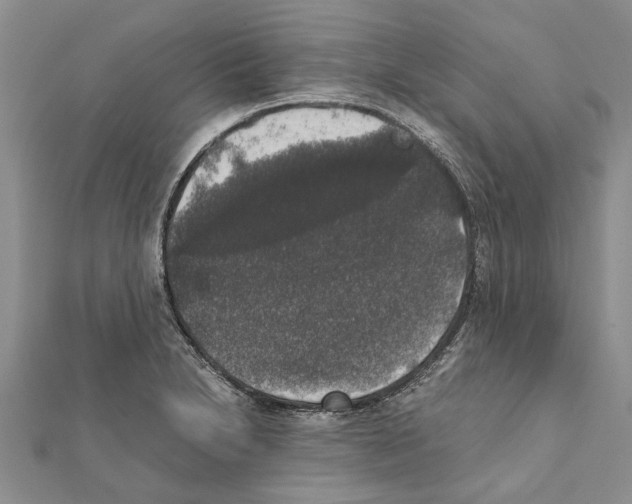 X0000111371230200908211311