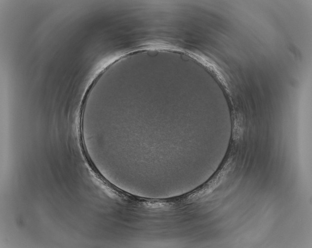 X0000111371231200908211311