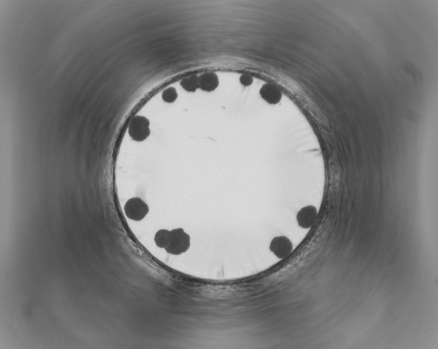 X0000111371232200908211311