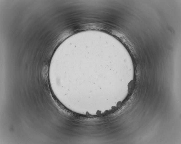 X0000111371233200908211311