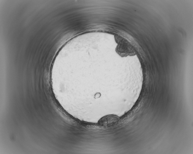 X0000111371234200908211311