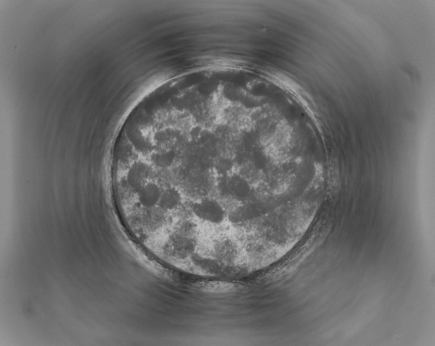 X0000111371235200908211311
