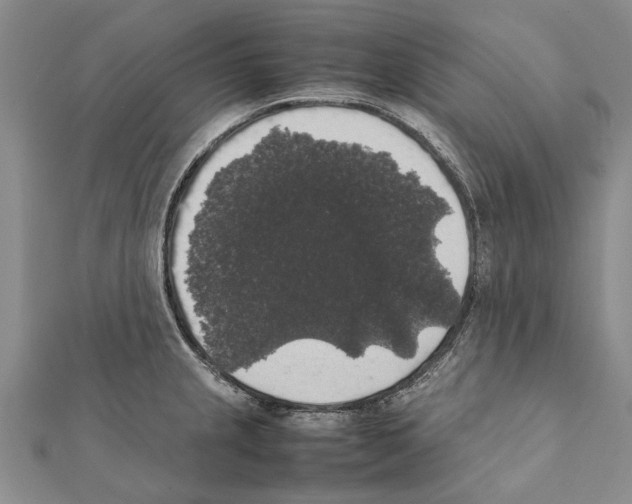 X0000111371237200908211311