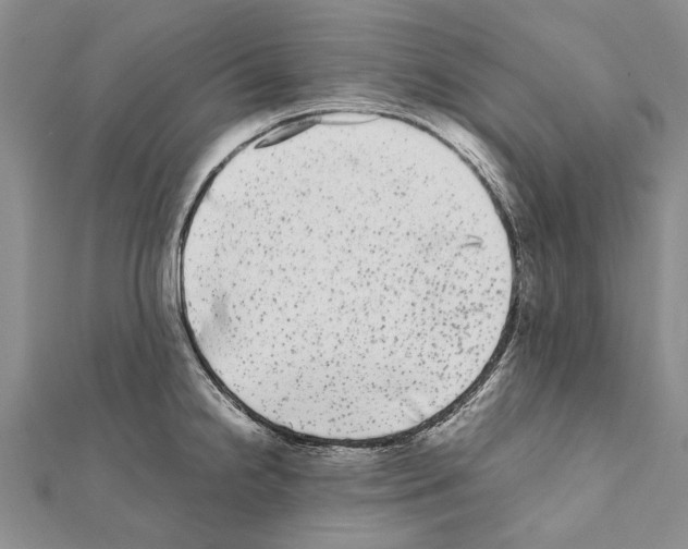X0000111371238200908211311