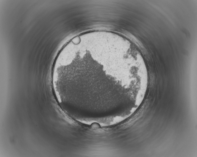 X0000111371240200908211311