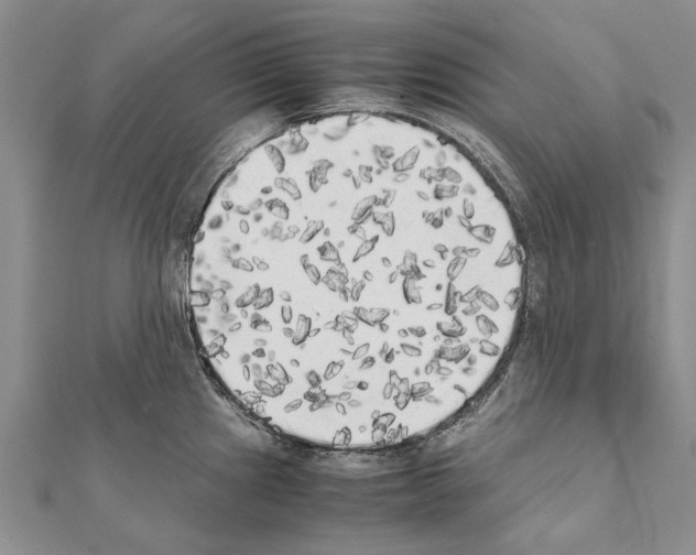 X0000111371241200908211311
