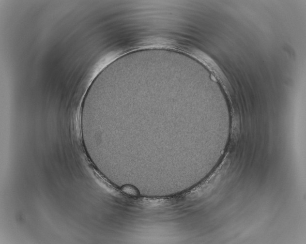 X0000111371242200908211311