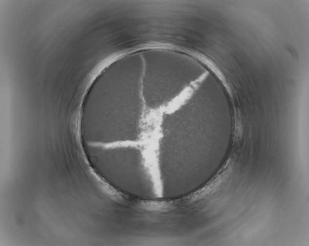 X0000111371245200908211311