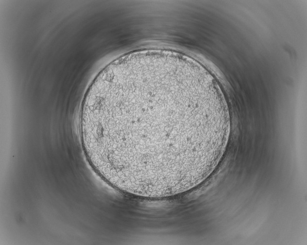 X0000111371247200908211311