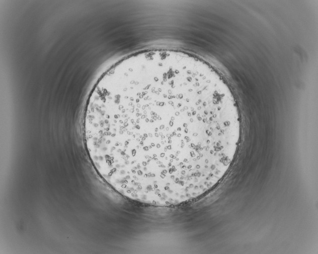 X0000111371248200908211311
