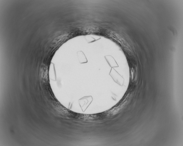 X0000111371251200908211311