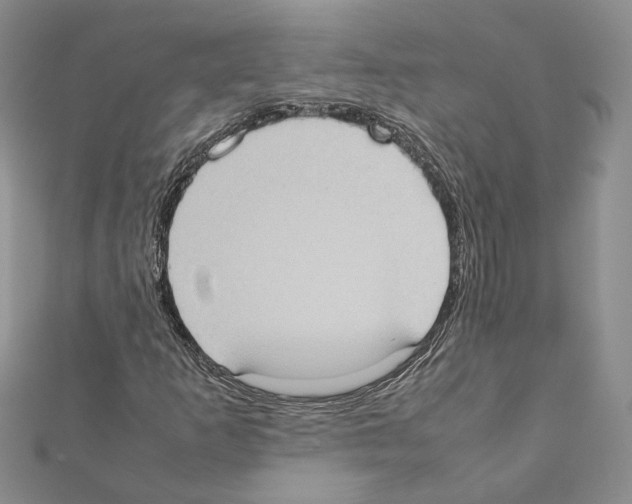 X0000111371253200908211311