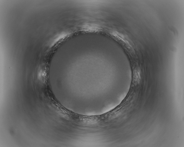 X0000111371254200908211311