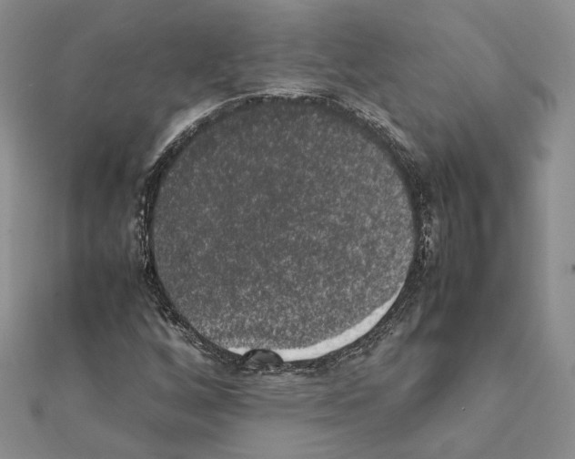 X0000111371256200908211310