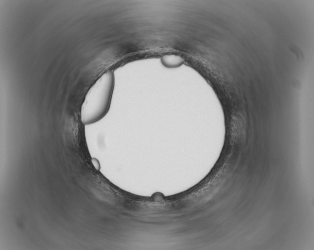X0000111371257200908211310
