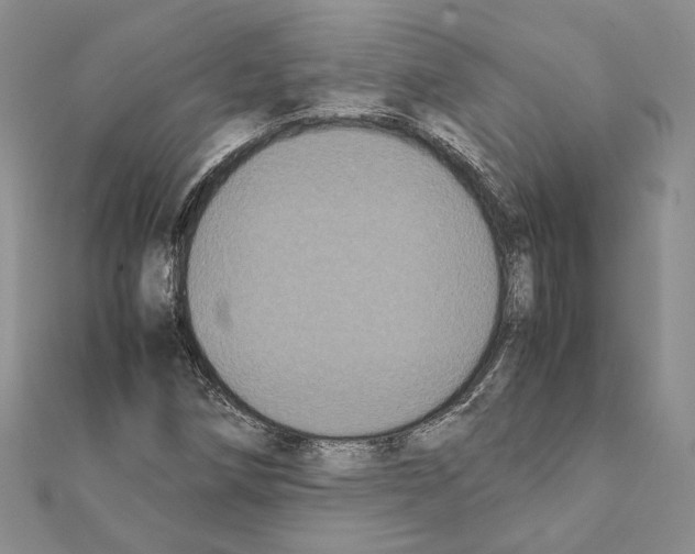 X0000111371258200908211310