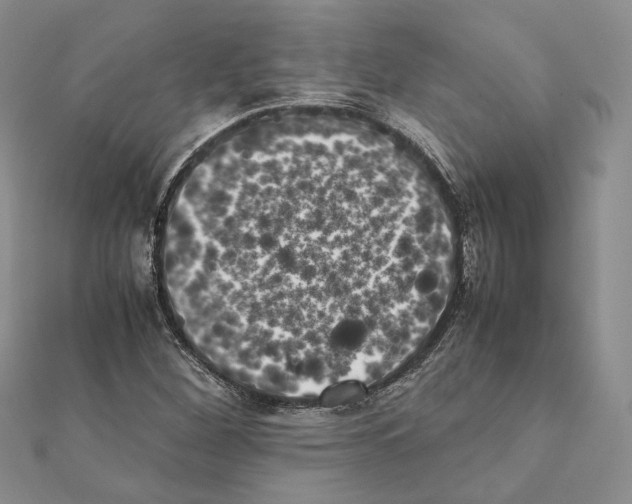 X0000111371260200908211310