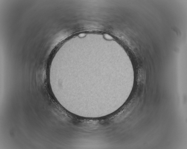 X0000111371261200908211310