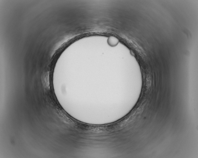 X0000111371262200908211310