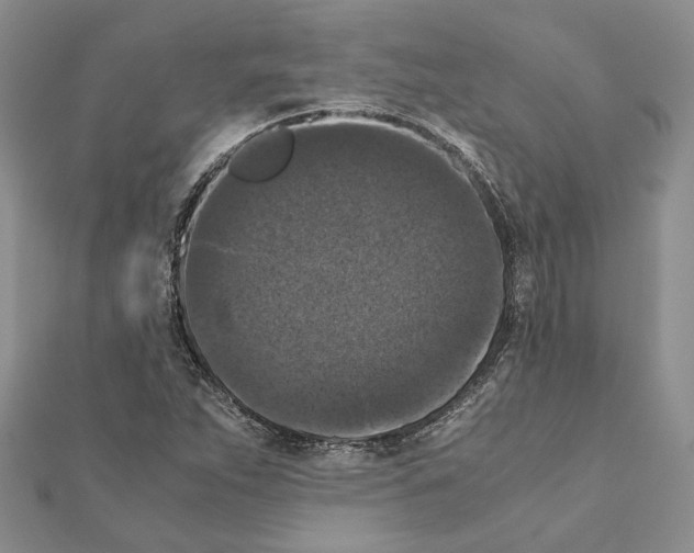 X0000111371263200908211310
