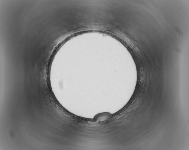 X0000111371264200908211310