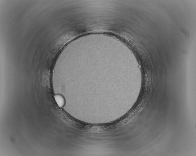 X0000111371265200908211310