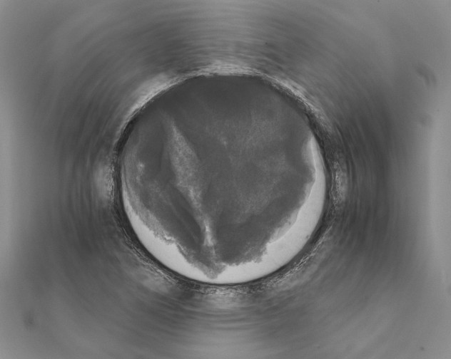 X0000111371266200908211310