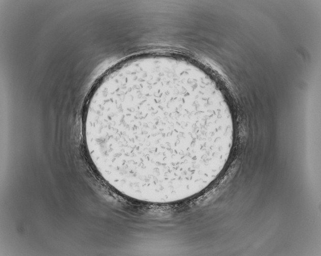 X0000111371267200908211310
